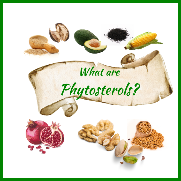 What are phytosterols?