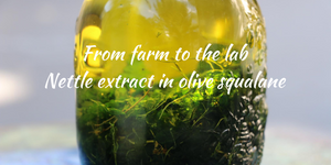 From farm to the lab: nettle extract in olive squalane (guest post)