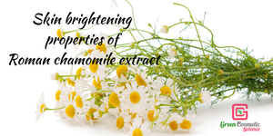 Skin brightening and antioxidant properties of chamomile extract
